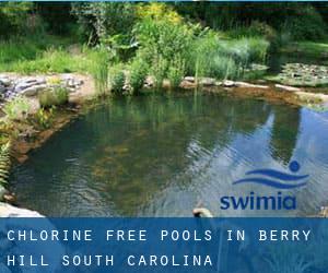 Chlorine Free Pools in Berry Hill (South Carolina)