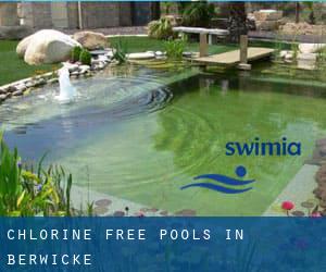 Chlorine Free Pools in Berwicke