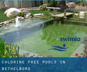 Chlorine Free Pools in Bethelboro