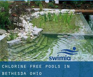 Chlorine Free Pools in Bethesda (Ohio)