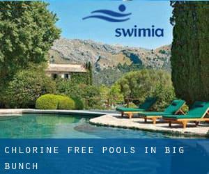 Chlorine Free Pools in Big Bunch