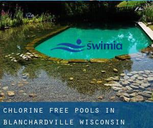 Chlorine Free Pools in Blanchardville (Wisconsin)