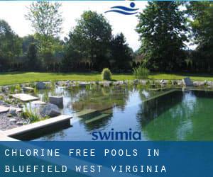 Chlorine Free Pools in Bluefield (West Virginia)