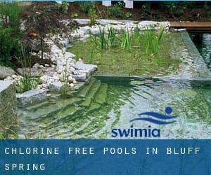 Chlorine Free Pools in Bluff Spring