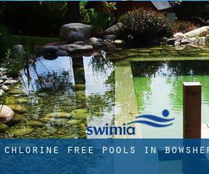 Chlorine Free Pools in Bowsher