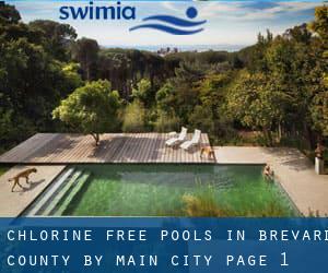 Chlorine Free Pools in Brevard County by Main City - page 1