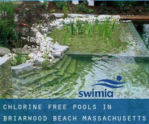 Chlorine Free Pools in Briarwood Beach (Massachusetts)