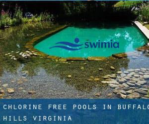 Chlorine Free Pools in Buffalo Hills (Virginia)