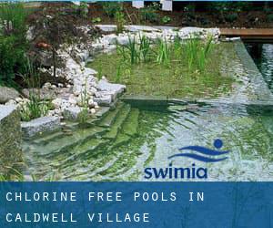 Chlorine Free Pools in Caldwell Village