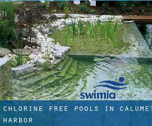 Chlorine Free Pools in Calumet Harbor