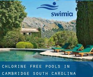 Chlorine Free Pools in Cambridge (South Carolina)