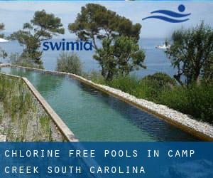 Chlorine Free Pools in Camp Creek (South Carolina)