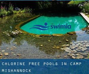 Chlorine Free Pools in Camp Mishannock