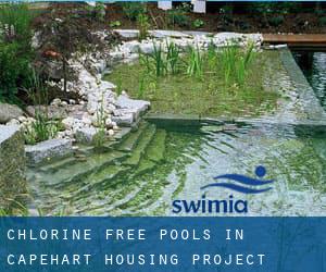 Chlorine Free Pools in Capehart Housing Project