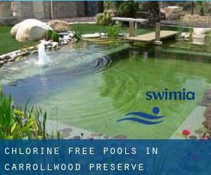 Chlorine Free Pools in Carrollwood Preserve