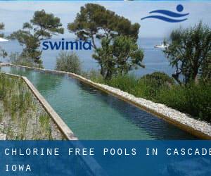 Chlorine Free Pools in Cascade (Iowa)