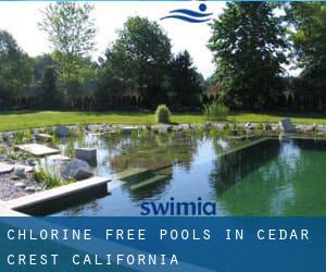 Chlorine Free Pools in Cedar Crest (California)