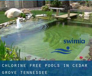 Chlorine Free Pools in Cedar Grove (Tennessee)