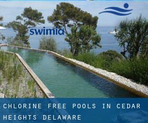 Chlorine Free Pools in Cedar Heights (Delaware)