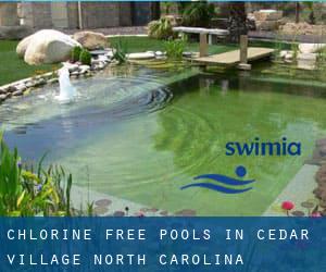 Chlorine Free Pools in Cedar Village (North Carolina)