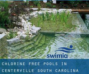 Chlorine Free Pools in Centerville (South Carolina)