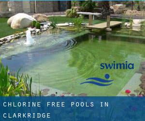 Chlorine Free Pools in Clarkridge