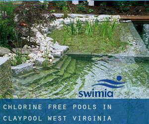 Chlorine Free Pools in Claypool (West Virginia)