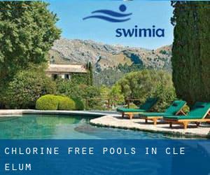 Chlorine Free Pools in Cle Elum