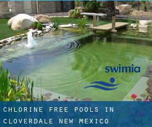 Chlorine Free Pools in Cloverdale (New Mexico)