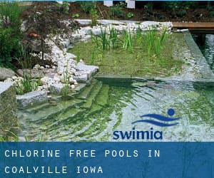 Chlorine Free Pools in Coalville (Iowa)