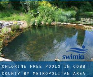 Chlorine Free Pools in Cobb County by Metropolitan Area - page 5