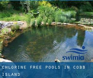 Chlorine Free Pools in Cobb Island