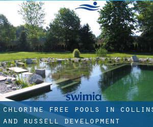 Chlorine Free Pools in Collins and Russell Development