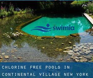 Chlorine Free Pools in Continental Village (New York)