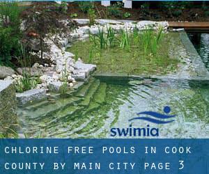 Chlorine Free Pools in Cook County by Main City - page 3