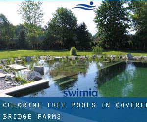 Chlorine Free Pools in Covered Bridge Farms