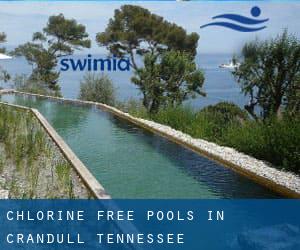 Chlorine Free Pools in Crandull (Tennessee)