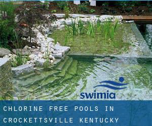 Chlorine Free Pools in Crockettsville (Kentucky)