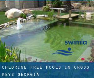 Chlorine Free Pools in Cross Keys (Georgia)