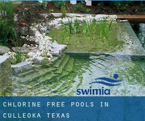 Chlorine Free Pools in Culleoka (Texas)