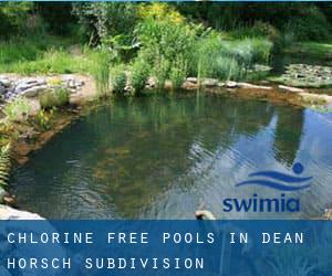 Chlorine Free Pools in Dean-Horsch Subdivision