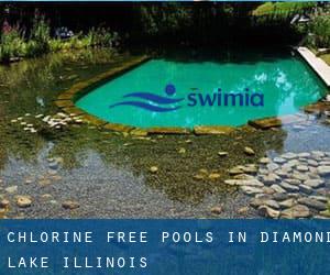 Chlorine Free Pools in Diamond Lake (Illinois)