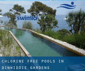 Chlorine Free Pools in Dinwiddie Gardens