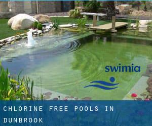 Chlorine Free Pools in Dunbrook