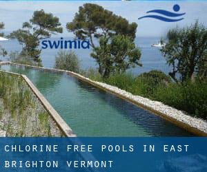 Chlorine Free Pools in East Brighton (Vermont)