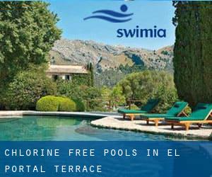 Chlorine Free Pools in El Portal Terrace