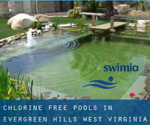 Chlorine Free Pools in Evergreen Hills (West Virginia)