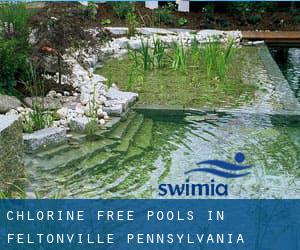 Chlorine Free Pools in Feltonville (Pennsylvania)