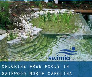 Chlorine Free Pools in Gatewood (North Carolina)