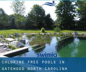 Chlorine Free Pools in Gatewood (North Carolina)